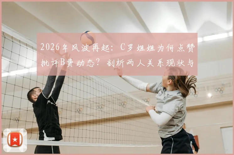 2026年风波再起：C罗姐姐为何点赞批评B费动态？剖析两人关系现状与球迷核心不满