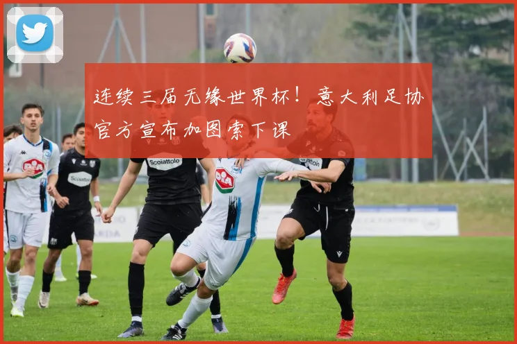 连续三届无缘世界杯！意大利足协官方宣布加图索下课